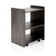 REM Spa Trolley Michigan Elm