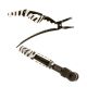 Head Jog Dino Klipz Zebra 4 Pack